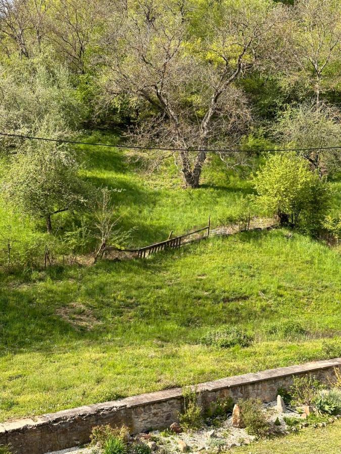 Penzion Michaela Vyhne Dış mekan fotoğraf